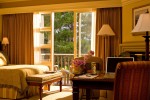 Forest View Room