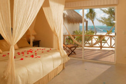 Mi Hotelito Beachfront Suites