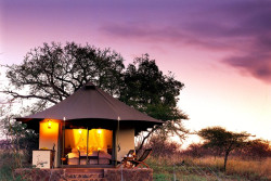 Safari Lodge
